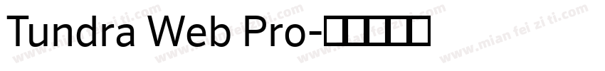 Tundra Web Pro字体转换